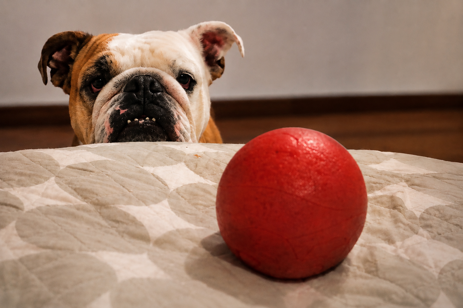 Pelota Moka