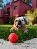 Pelota Moka